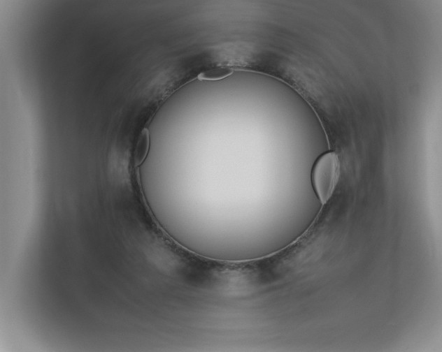 X0000110770209200906221149