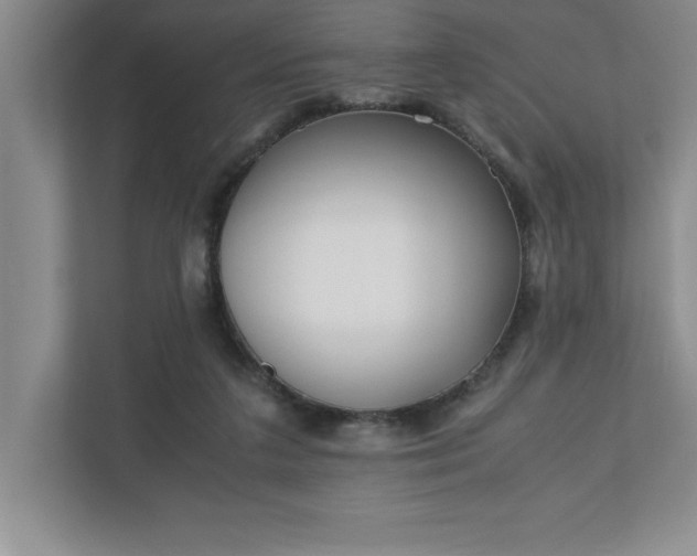 X0000110770211200906221149