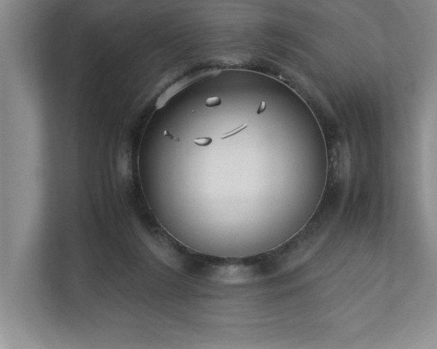 X0000110770212200906221149