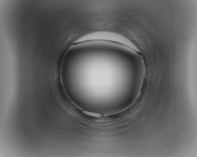 X0000110770215200906221148