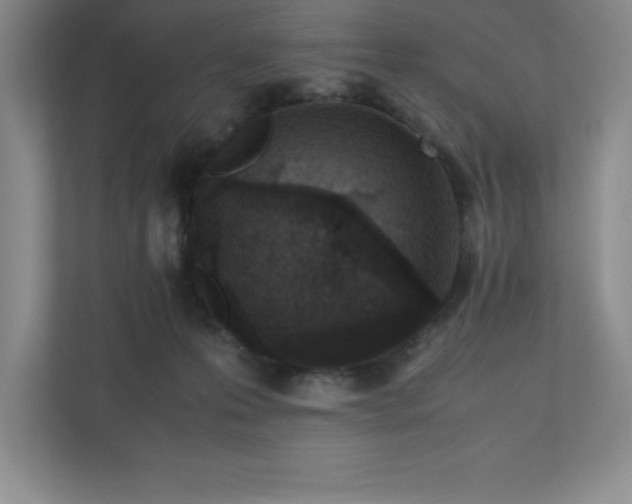 X0000110770223200906221148