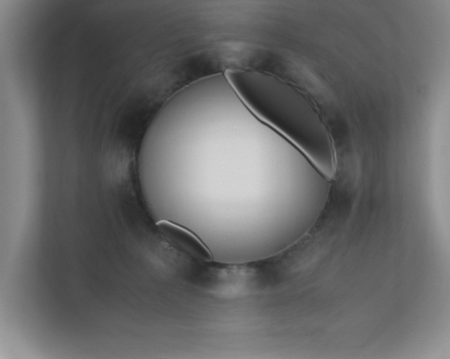 X0000110770225200906221148