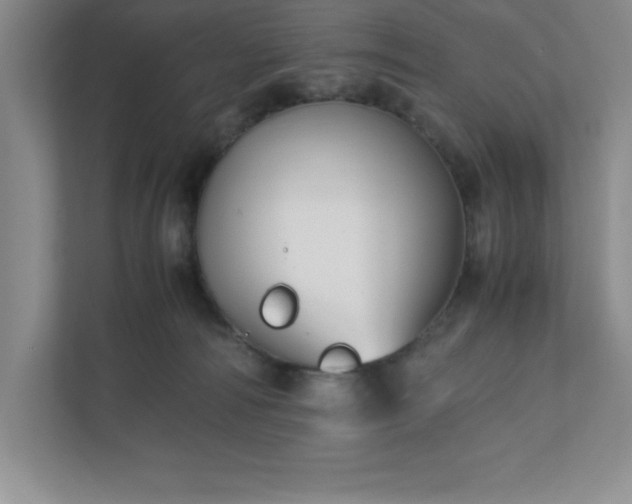 X0000110770226200906221148