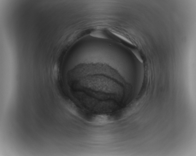 X0000110770227200906221148