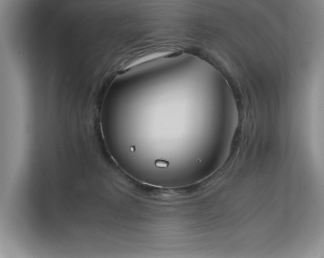 X0000110770229200906221148