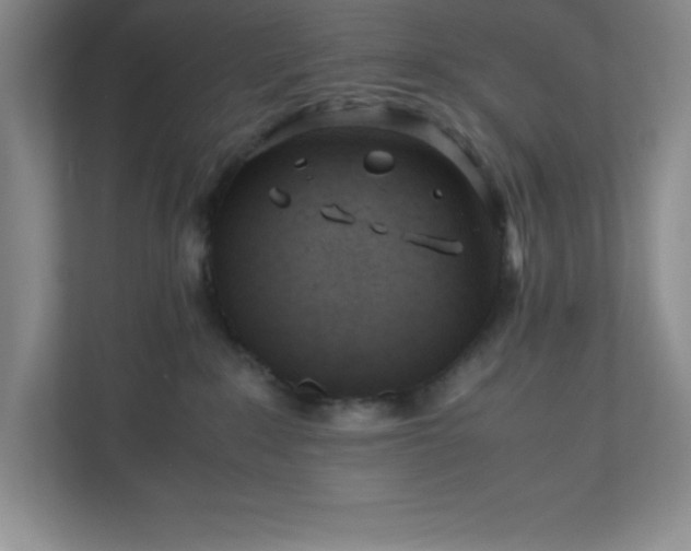 X0000110770235200906221148