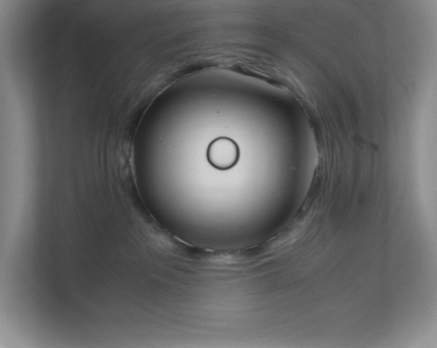 X0000110770237200906221148