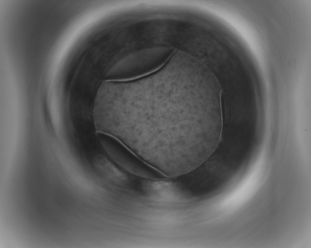 X0000110770239200906221148