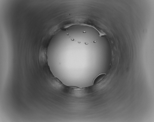 X0000110770240200906221148