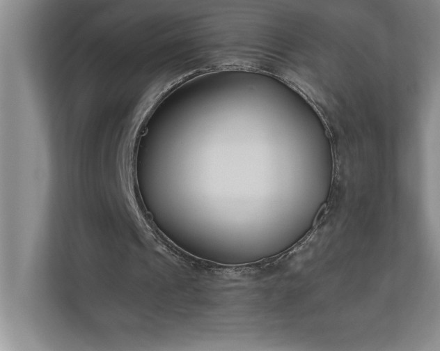 X0000110770241200906221148