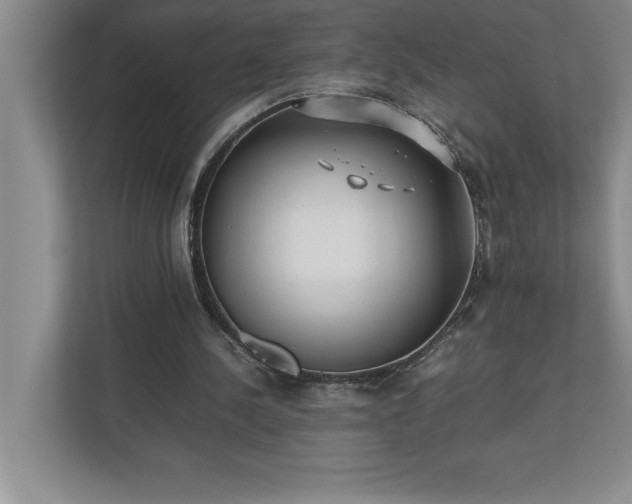 X0000110770244200906221148