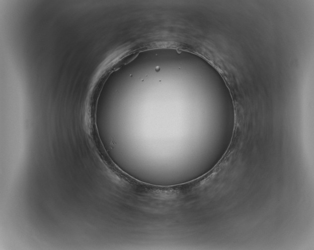 X0000110770245200906221148