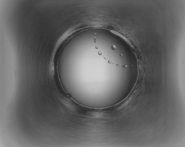 X0000110770246200906221148