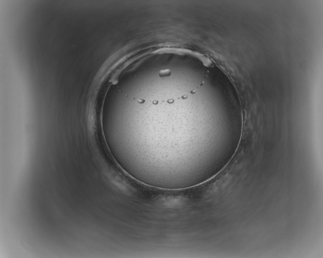 X0000110770247200906221148