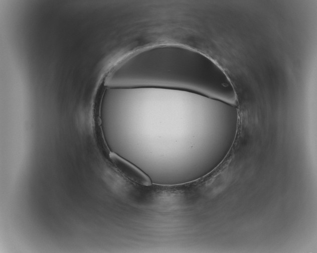 X0000110770248200906221148