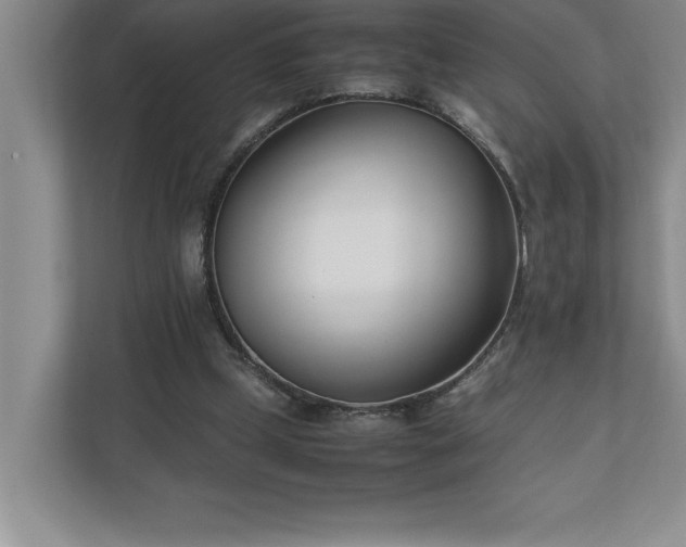 X0000110770249200906221148