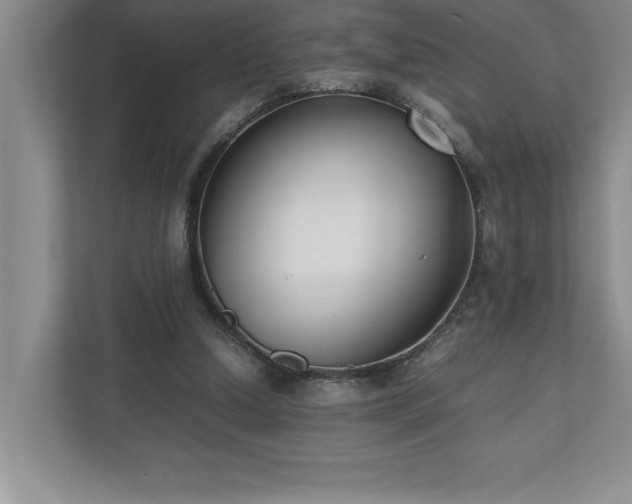 X0000110770250200906221148