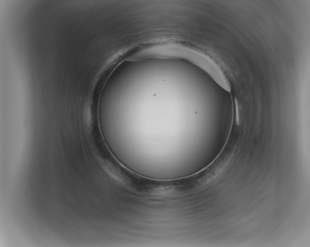 X0000110770252200906221148