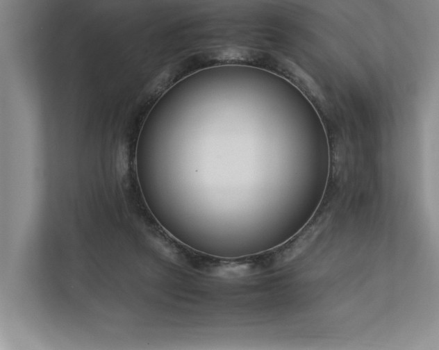 X0000110770257200906221148