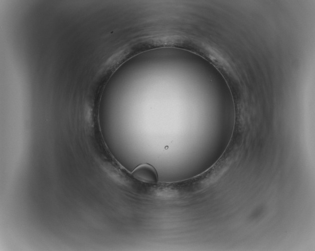 X0000110770258200906221148