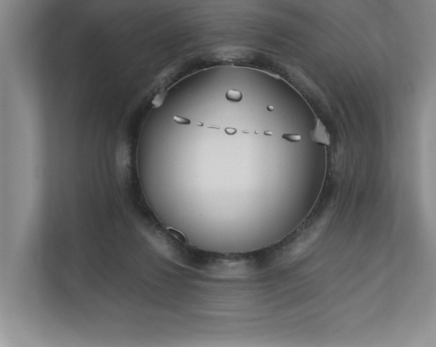 X0000110770260200906221148