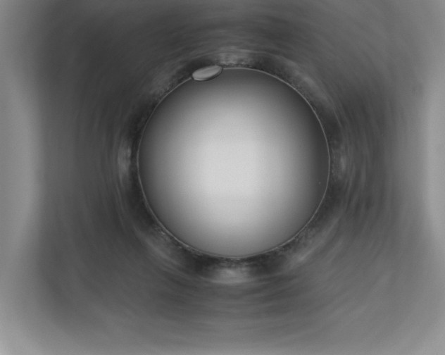 X0000110770263200906221148