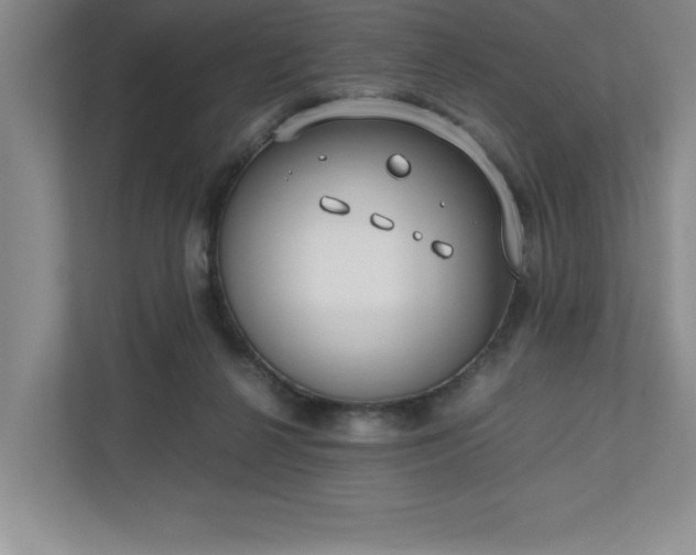 X0000110770264200906221148