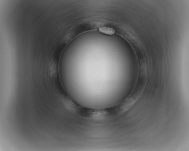 X0000110770274200906221148