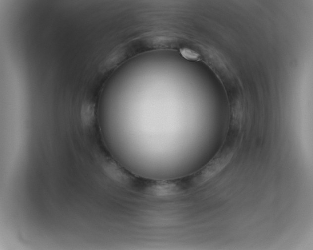 X0000110770278200906221148