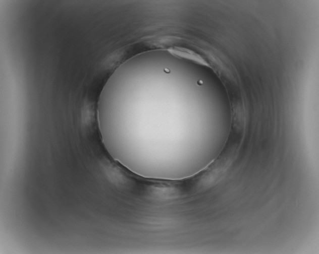 X0000110770284200906221148