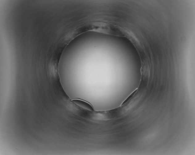 X0000110770285200906221148