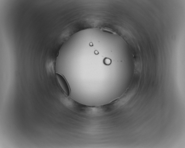 X0000110770286200906221148