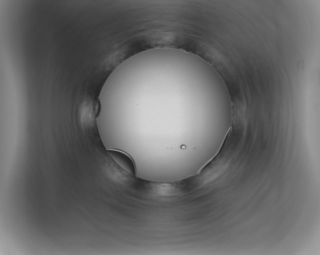 X0000110770287200906221148