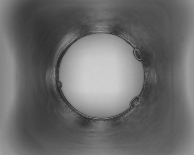 X0000110770293200906221147