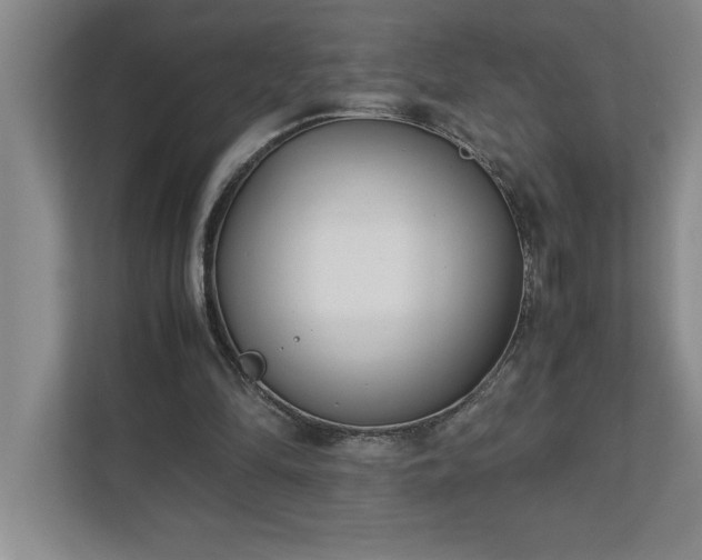 X0000110770294200906221147