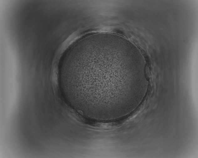 X0000110770295200906221147