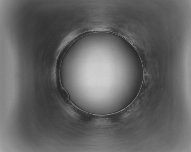 X0000110770296200906221147