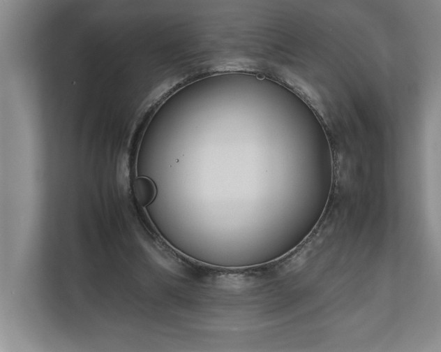 X0000110770298200906221147