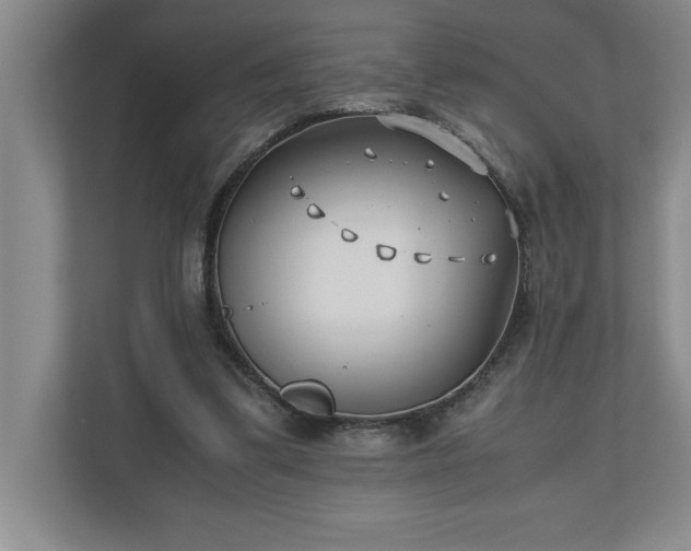 X0000110770299200906221147