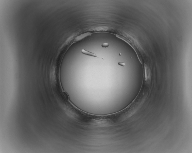 X0000110770300200906221147