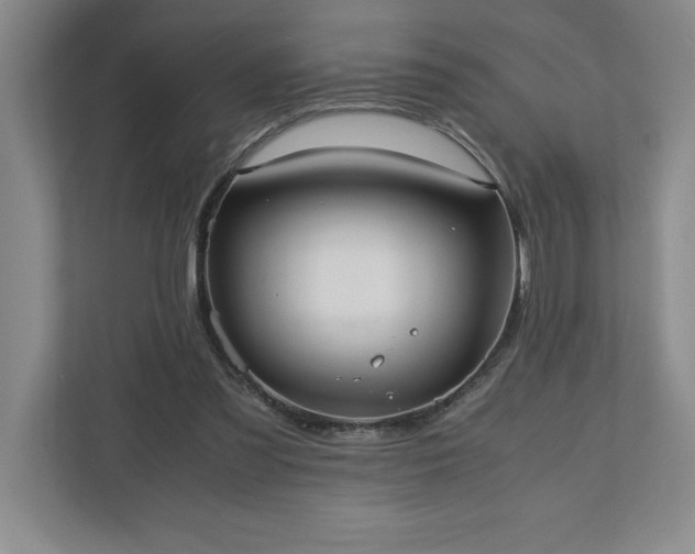 X0000110770301200906221147