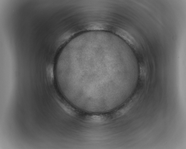 X0000110770302200906221147