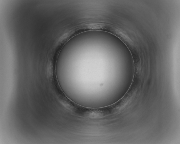 X0000110770303200906221147