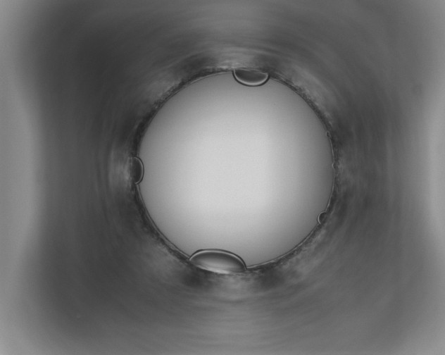 X0000110770305200906221147