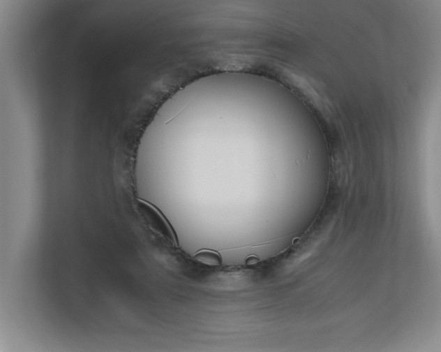 X0000110770307200906221147