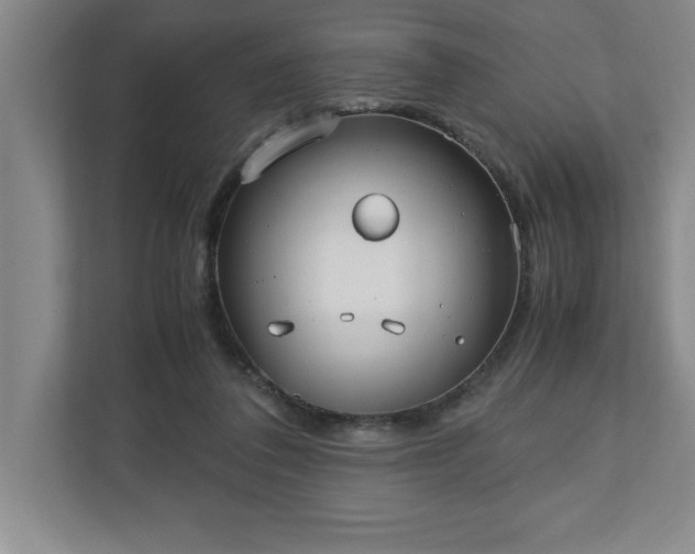 X0000110770308200906221147