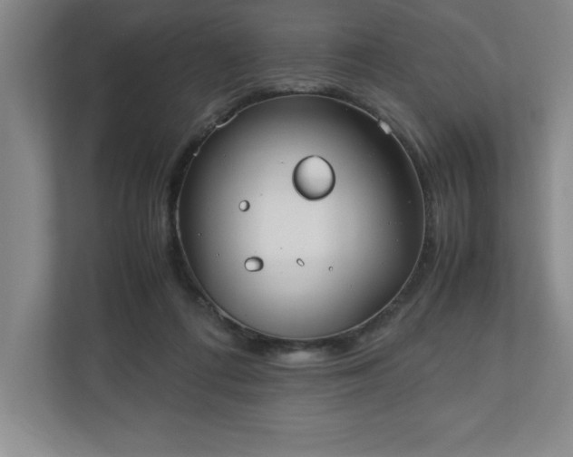 X0000110770312200906221147