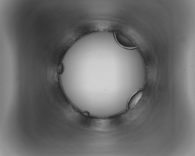 X0000110770313200906221147