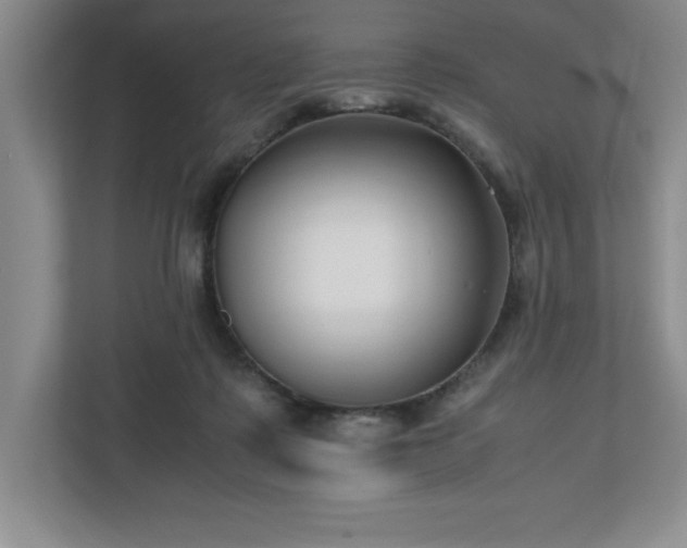 X0000110770315200906221147