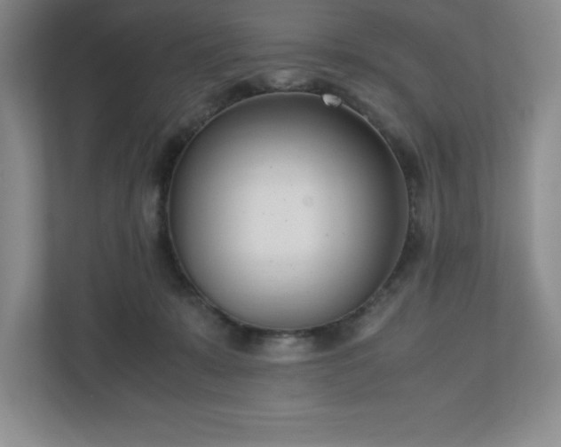 X0000110770319200906221147